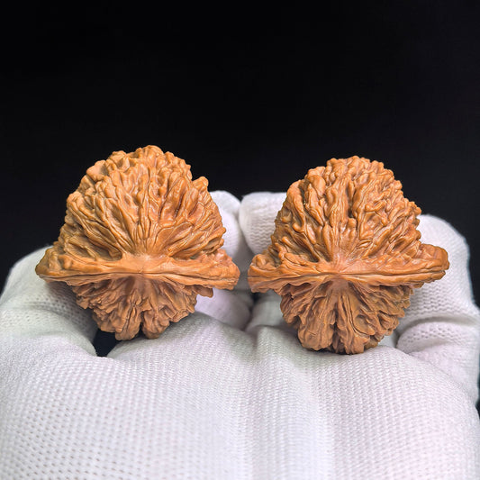 "Han Gao Lou Wu Gui Bei / Han High-Tower Turtle Back" Heirloom Collection Wenwan Walnuts Pair | 40.0mm x 41.0mm | HGLB-C1C2E - ThePatinaProject