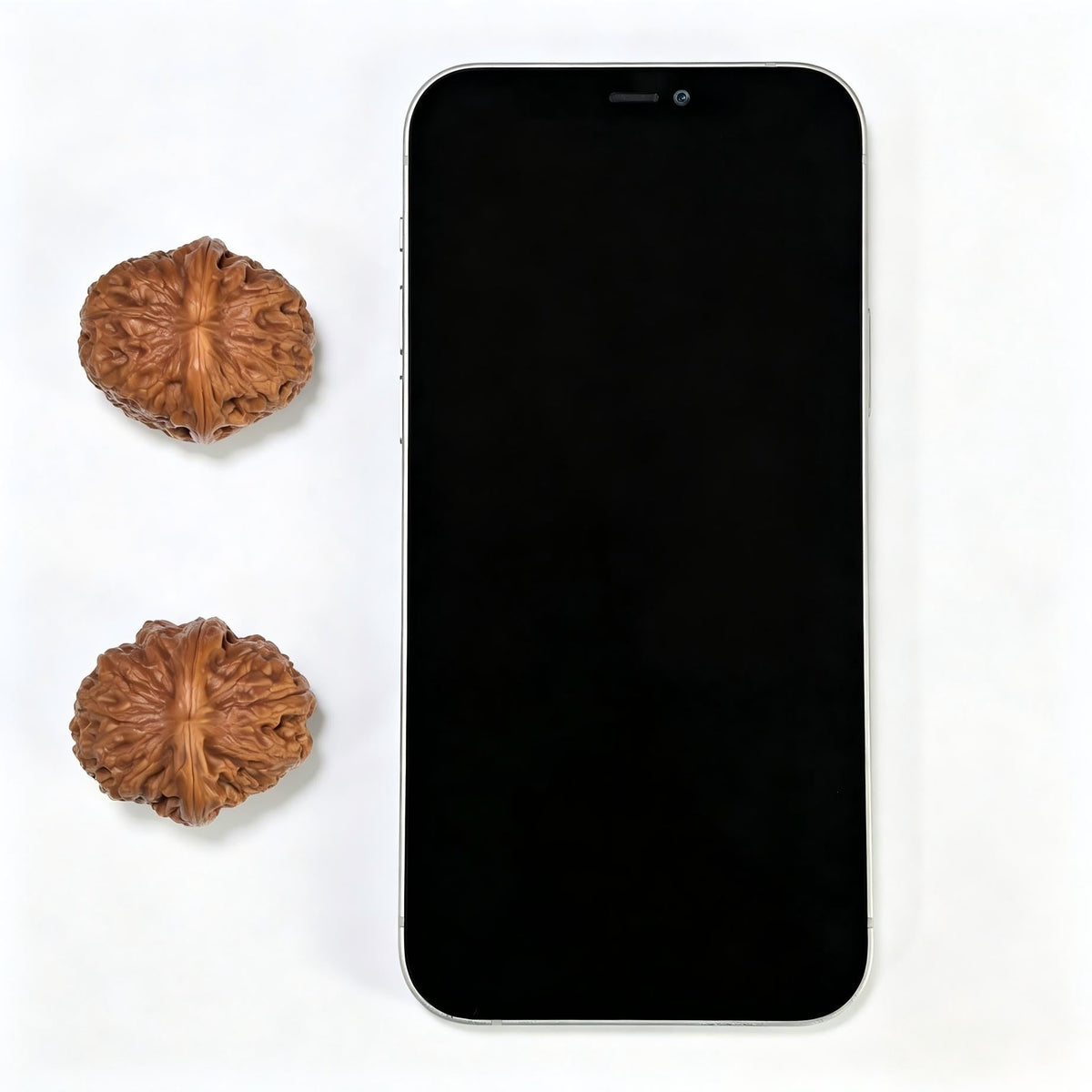 "Huangsongyu" (Huang Song Yu) Wild Niche Scholar Walnuts Pair | Compact 31.0mm x 35.0mm | Deep-Belly Pocket Format | Stock ID: HSY-1101 - ThePatinaProject