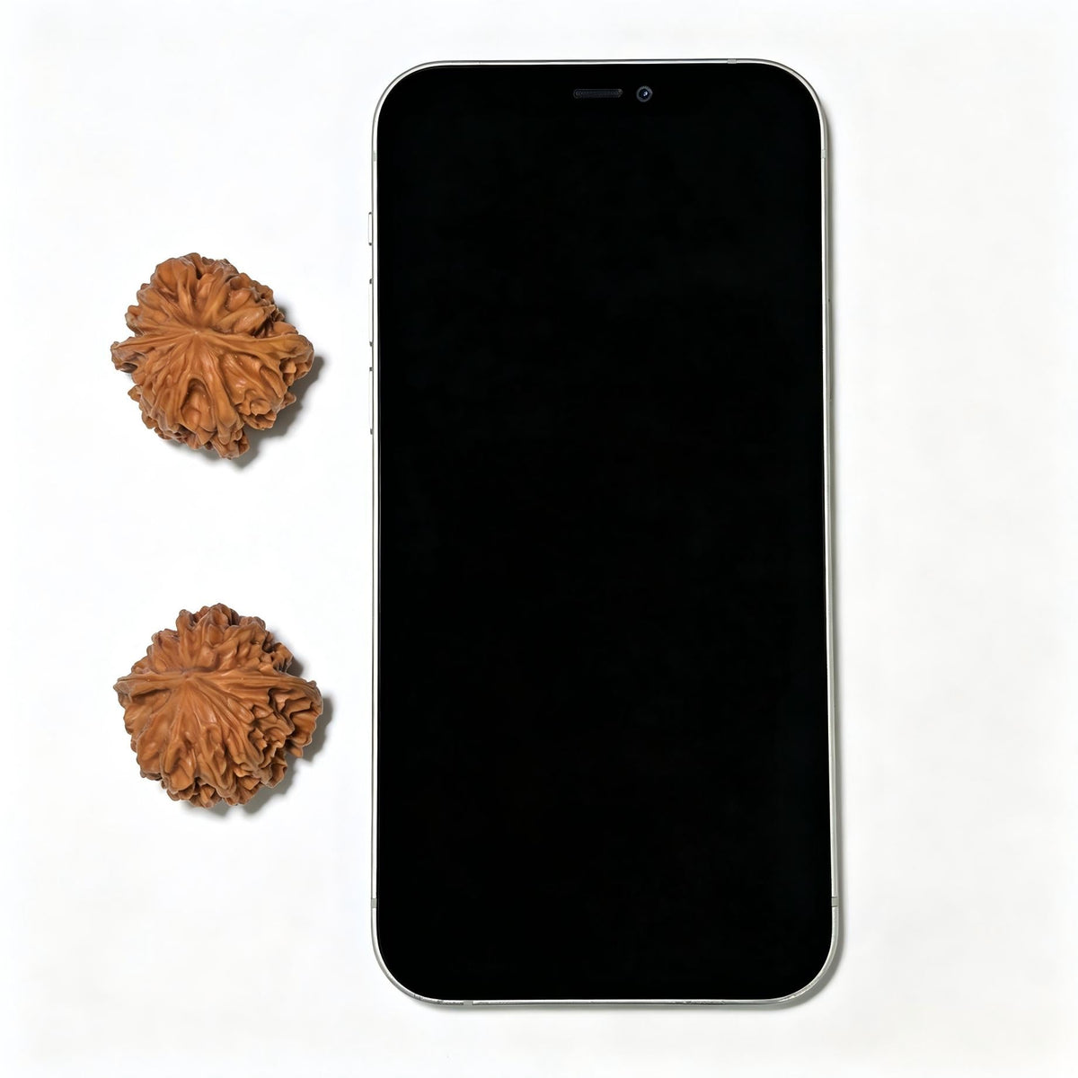 "Mini Wild Specimen" Xiao Yasheng (Shounian) YS-1105 Pocket-Sized Wenwan Walnuts Pair | 31.0mm x 31.0mm | YS-1105 - ThePatinaProject
