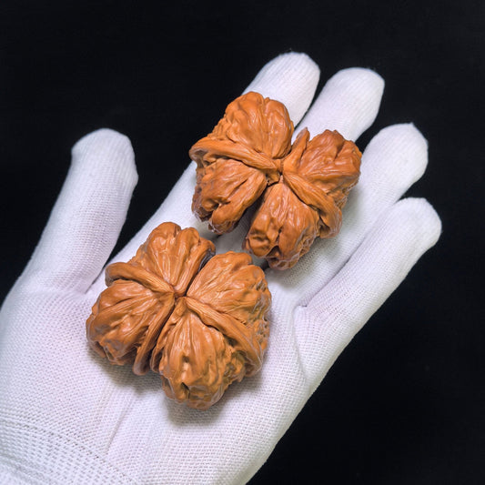 Museum-Grade "Toad Head Butterfly Conjoined Twin" (Ha Ma Tou Hu Die Lian Ti) Wild Scholar Walnut | Ultra-Rare 52.0mm x 45.0mm | High-End Collector Masterpiece | Stock ID: HDLLT-C01E - ThePatinaProject