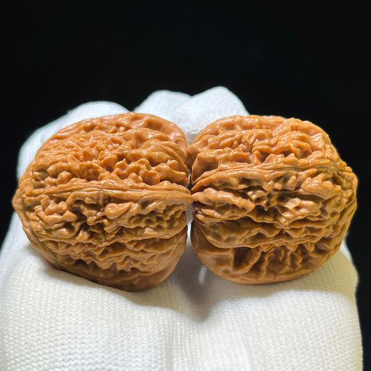 "Nanjiangshi Lionhead" Nanjiangshi NJS-1111 Low-Profile Wenwan Walnuts Pair | 39.0mm x 37.0mm | NJS-1111 - ThePatinaProject