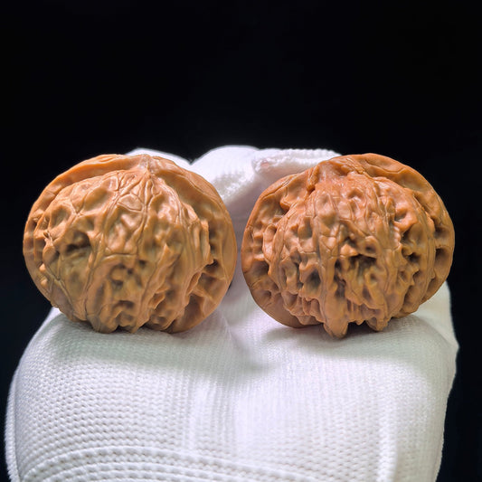 "Palace Lantern" (Gongdeng) Scholar Walnuts Pair | 42.0mm x 39.0mm | Classic Low-Profile Silhouette | Collector Grade Curation | Stock ID: GD-1101 - ThePatinaProject