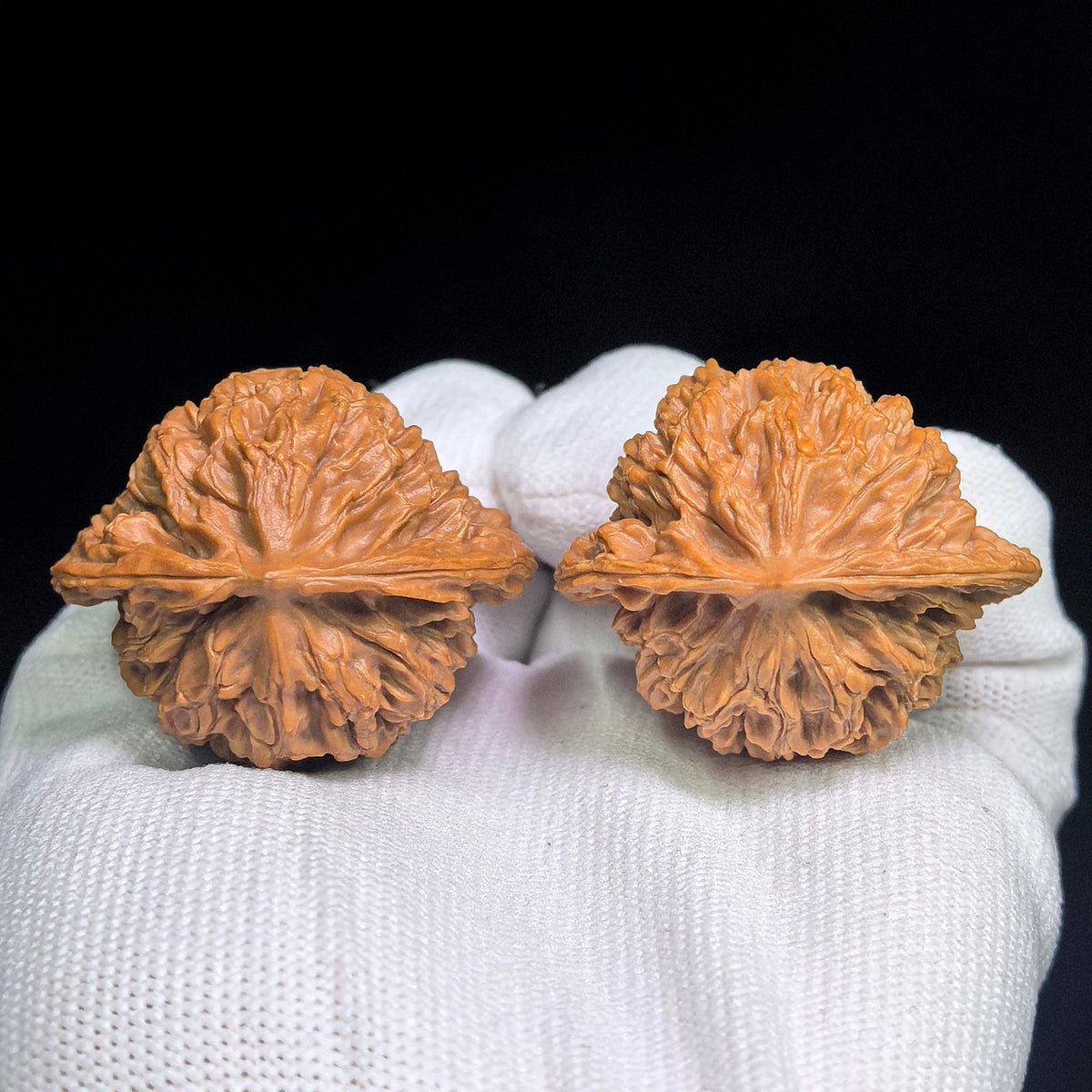 Panlongwen Wenwan Walnuts Pair | Layered Coiling Texture & Balanced Form | 41 × 35 mm | PLW-19B6 - ThePatinaProject