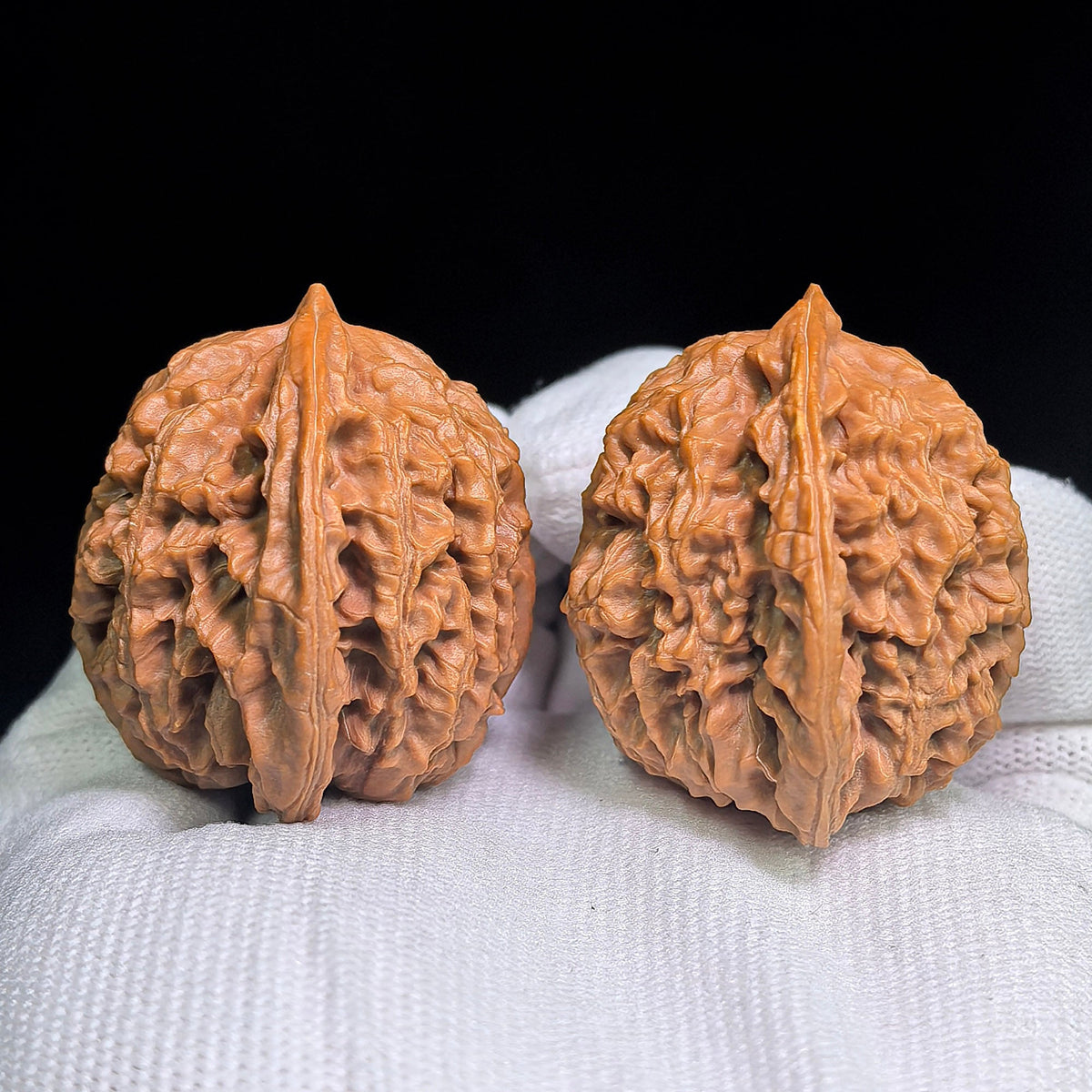 Panlongwen Wenwan Walnuts Pair | Layered Coiling Texture & Balanced Form | 41 × 35 mm | PLW-19B6 - ThePatinaProject