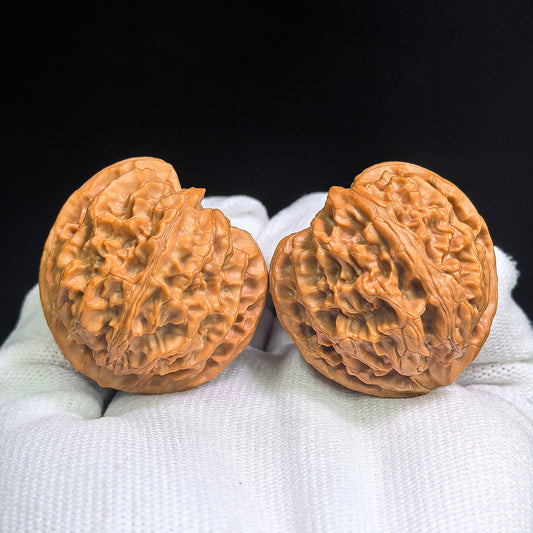Pingguoyuan Tiancanjiao Wenwan Walnuts Pair | Compact Broad-Bodied Irregular Form | 38.0mm × 39.0mm | PGY-1401E - ThePatinaProject