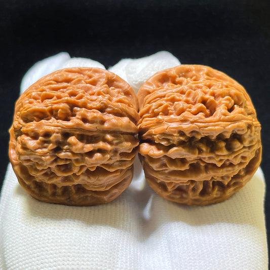 Sizuolou Scholar Walnuts Pair | 42.0mm x 41.0mm | Stock ID: SZL-1102 - ThePatinaProject