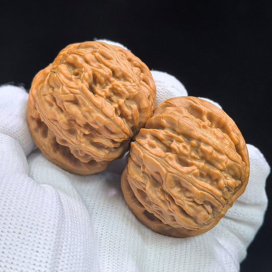 Spherical White Lion Wenwan Walnut Pair | Broad Round Profile | 41.0mm × 47.0mm | QXBSZ-17C4C - ThePatinaProject