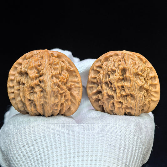 "Spherical White Lionhead" Qiuxing Baishizi QXBSJ-1505C Low-Profile Wenwan Walnuts Pair | 41.0mm x 40.0mm | QXBSJ-1505C - ThePatinaProject