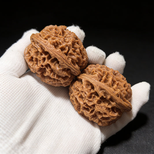 The "Big Thorn" (Da Ci) Pair | 46.0mm x 44.0mm | DC-01 - ThePatinaProject