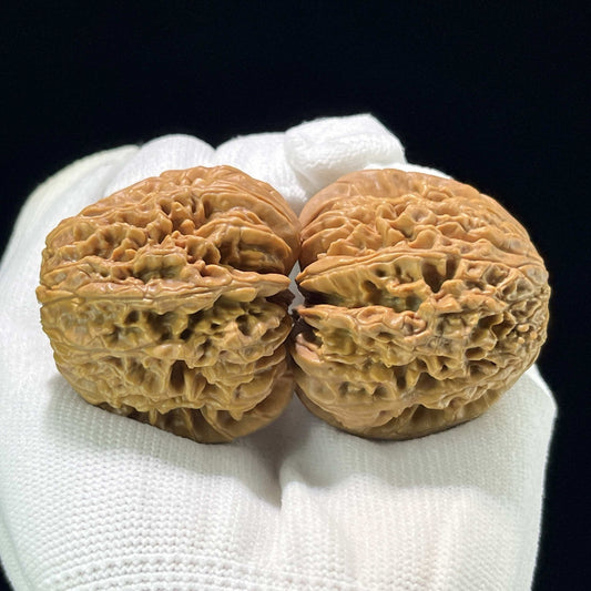 The "Blizzard" (Bao Xue) Balanced Giant Pair | 43.0mm x 42.0mm | BX-802 - ThePatinaProject