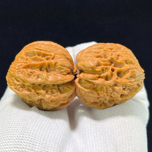 The "Blizzard Snake-Skin Texture" (Bao Xue She Pi) Deep-Belly Compact Pair | 35.0mm x 36.0mm | BXSP-1001 - ThePatinaProject