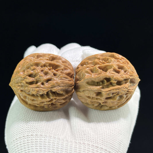 The "Coiling Dragon" (Pan Long Wen) Full-Bellied Pocket Pair | 35.0mm x 38.0mm | PLW-709 - ThePatinaProject