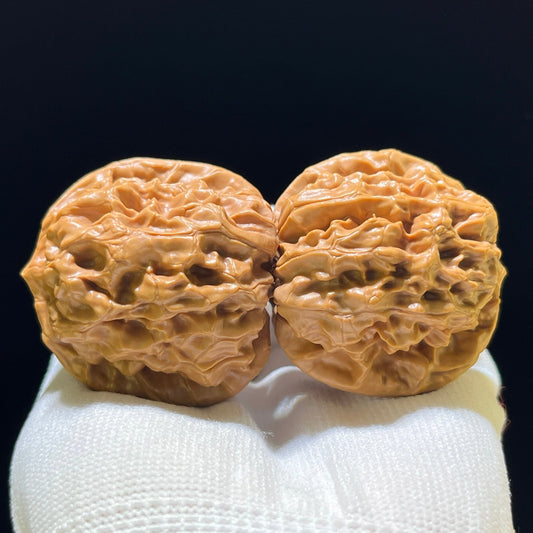 The Exquisite "Acacia Harmony" Hehuan Lion Head Masterpiece | 43.0mm x 42.0mm | HH-702 - ThePatinaProject