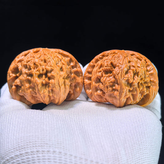 The "Hidden Tip White Lion" (Menjian Baishizi) Matched Pair | 47.0mm x 46.0mm | BSZ-1202C - ThePatinaProject