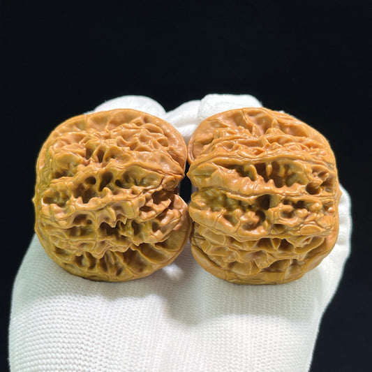 The "Hundred Longevity Lion Head" (Bai Shou Shi Zi Tou) Ultra-Giant Pair | 48.0mm x 44.0mm | BSSZT-801 - ThePatinaProject