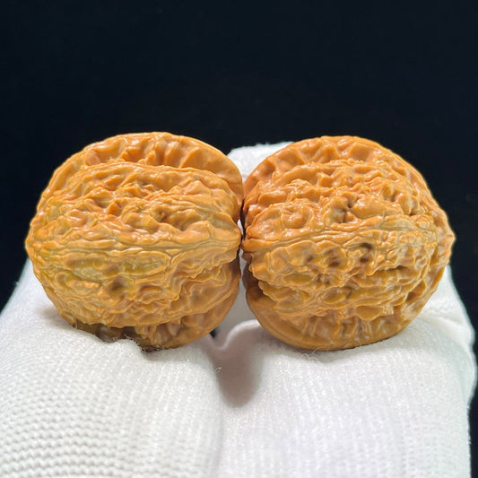 The "Imperial Alabaster" (Bai Shi Zi) Premium Miniature Scholar Walnuts | 35.0mm x 35.0mm | 1:1 Perfect Isometric Match | BSZ-1003 - ThePatinaProject