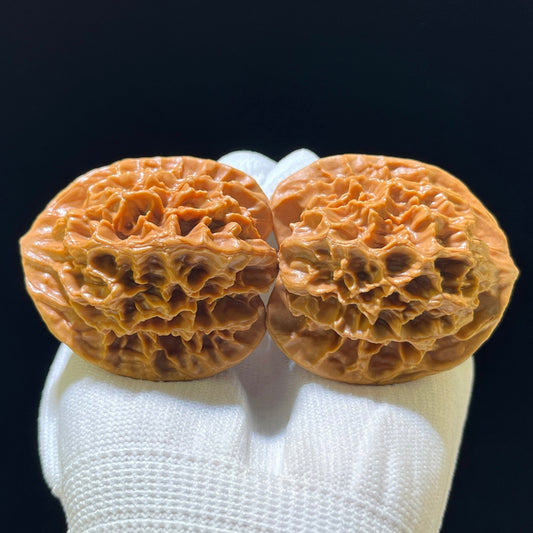 The "Imperial" (Di Wang) Premium Large-Stature Lion Head Pair | 45.0mm x 43.0mm | DW-1102 - ThePatinaProject