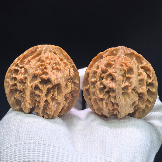 The "Imperial Orchard" (Ping Guo Yuan) Premium Symmetrical Pair | 42.0mm x 42.0mm | 1:1 Perfect Isometric Match | PGY-1403 - ThePatinaProject