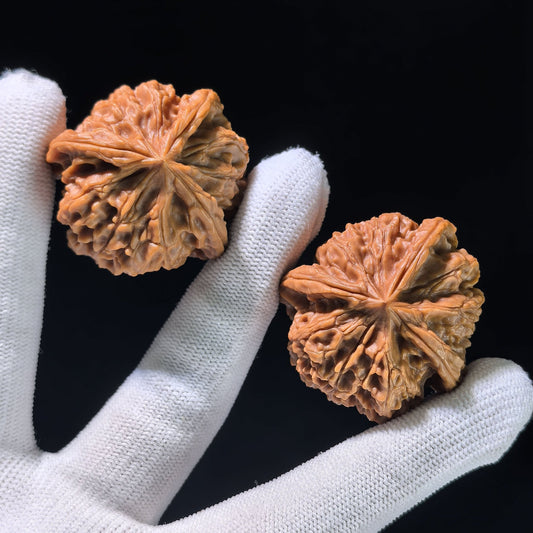 The "Imperial Seal" (Yu Xi) Trident Three-Ridge Pair | 37.0mm x 38.0mm | YSSN-1203E - ThePatinaProject