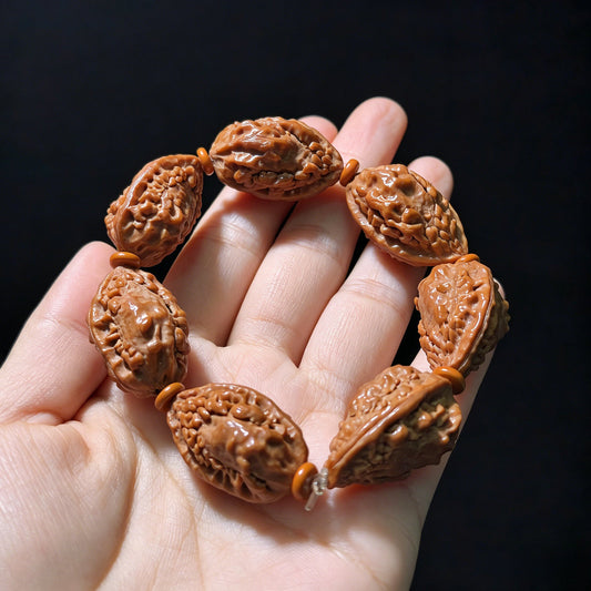 The "Kirin Horn" (Qi Lin Jiao) Rare Mutation Artisan Bracelet | 7-Piece Set | 17.0mm range | QLJSC-1201E - ThePatinaProject