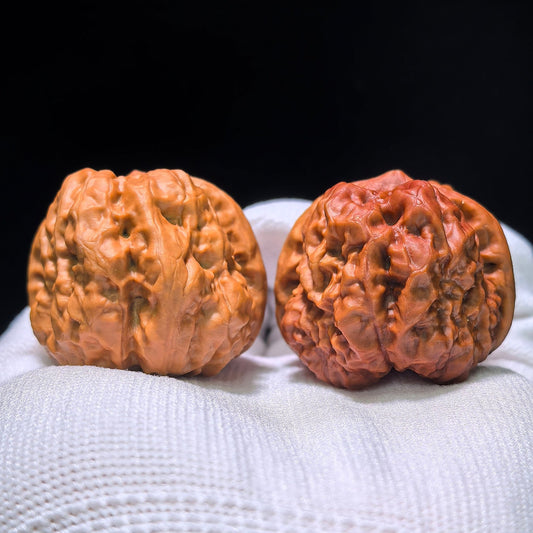 The "Mandarin Duck" (Yuan Yang) Ground-Buried & Normal Ha Ma Tou (Toad Head) Colossal Giant Pair | 38.0mm x 47.0mm | HMT-1202C - ThePatinaProject