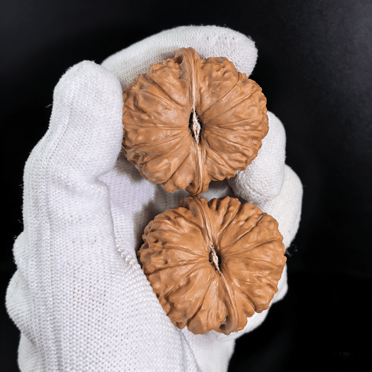 The "Nan Gua Dun" (Pumpkin) Pair | 40.0mm | NGD-01 - ThePatinaProject
