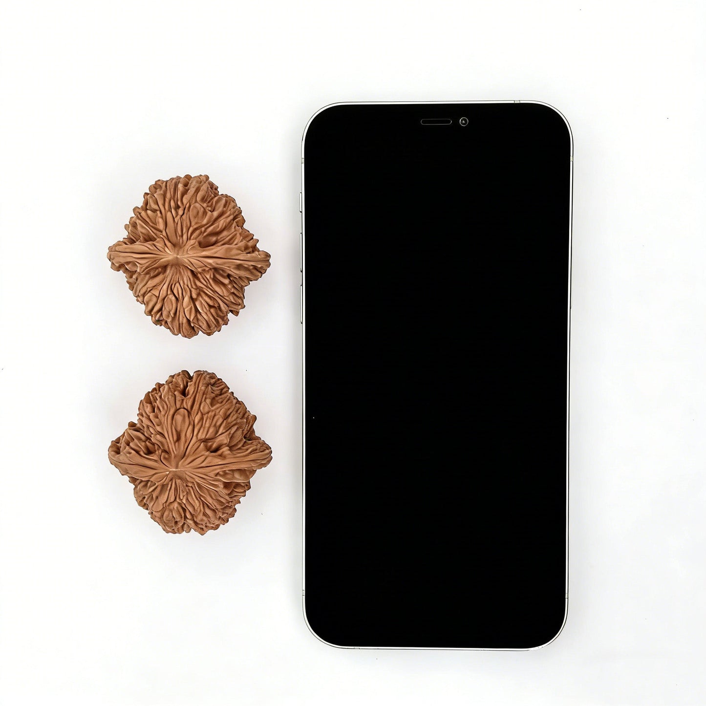 The "Nan Jiang Shi" Lion Head Pair | 43.0mm x 42.0mm | NJS-501 - ThePatinaProject