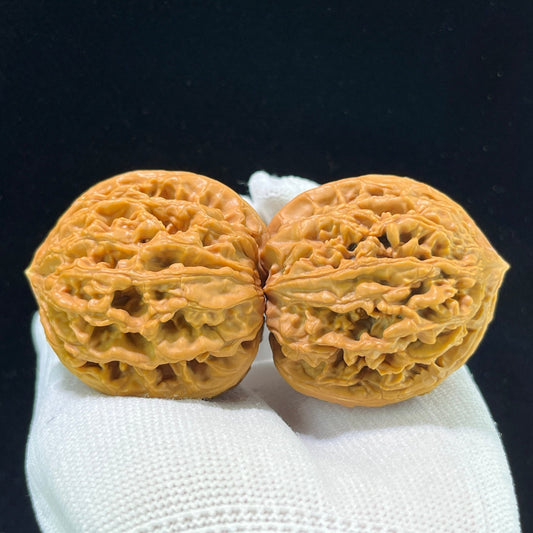 The "Nine Dragon Sinews" (Jiu Long Jin) Premium Elongated Deep-Belly Pair | 41.0mm x 45.0mm | JLJ-1001 - ThePatinaProject