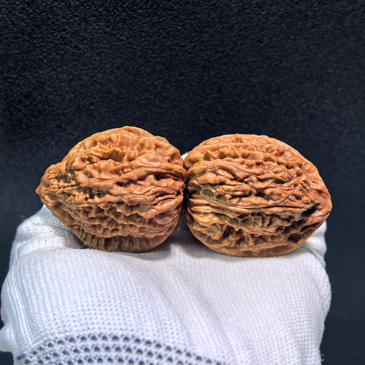 The "Nine Dragons Thick Ridge" (Jiu Long Yu Cu Jin) Pair | 40.0mm x 42.0mm | CJ-401 - ThePatinaProject