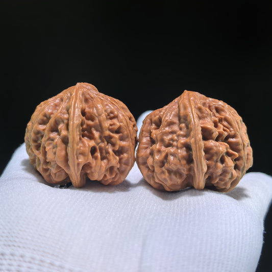 The "Nine Dragons Valley" (Jiu Long Yu) Pair | 39.0mm x 39.0mm | JLY-702 - ThePatinaProject