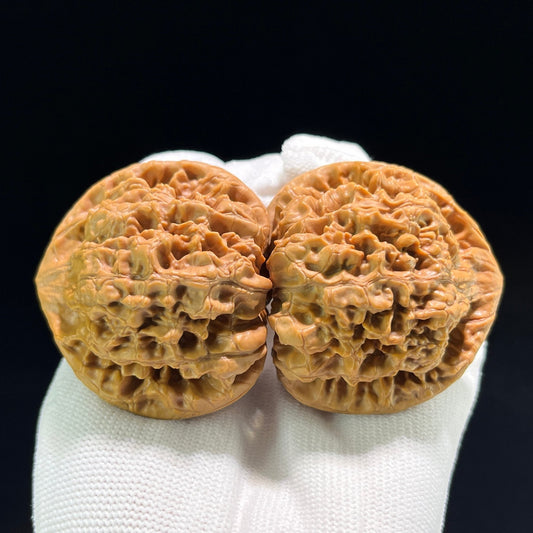 The "Official's Hat" (Da Guan Mao) Museum-Grade Ultra-Giant | 50.0mm x 41.0mm | DGM-802 - ThePatinaProject