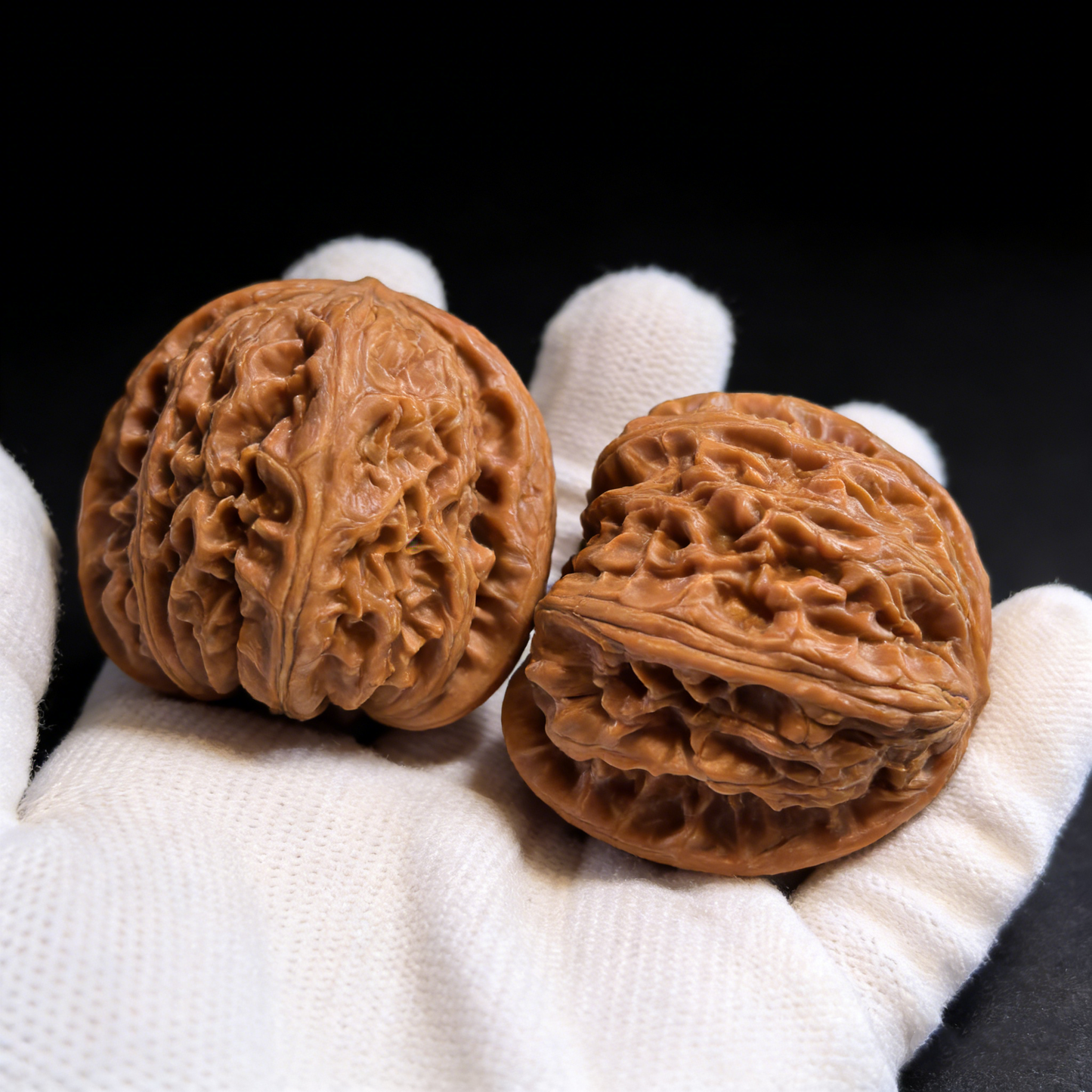 Walnut hand exercisers featuring the "Grand White Lion" design, large 46mm collector's pair by The Patina Project.