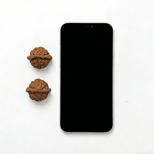 Walnut hand exerciser from The Patina Project, Ultra-High Density Micro-Pair, 32mm collector’s gem for grip strength training.