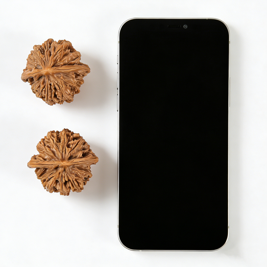 Pair of Walnut hand exercisers with deep volcanic ridges and classic sphere design, 43mm size from The Patina Project.