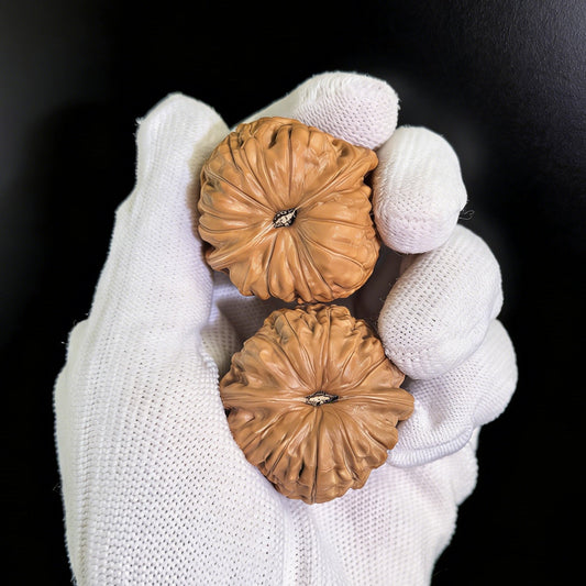 The "Pumpkin Cushion" (Nanguadun) Pair | 37.0mm | Collector Level | NGD-03 - ThePatinaProject