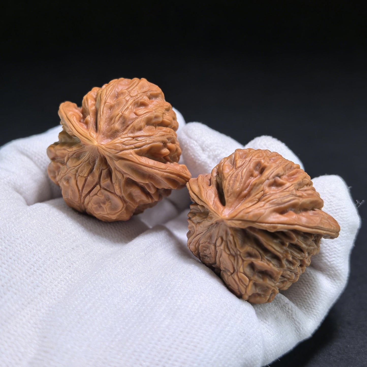 The Rare "Palace Lantern Snake" Collector's Pair | 38.0mm x 38.0mm x 32.0mm | GDS-001E - ThePatinaProject