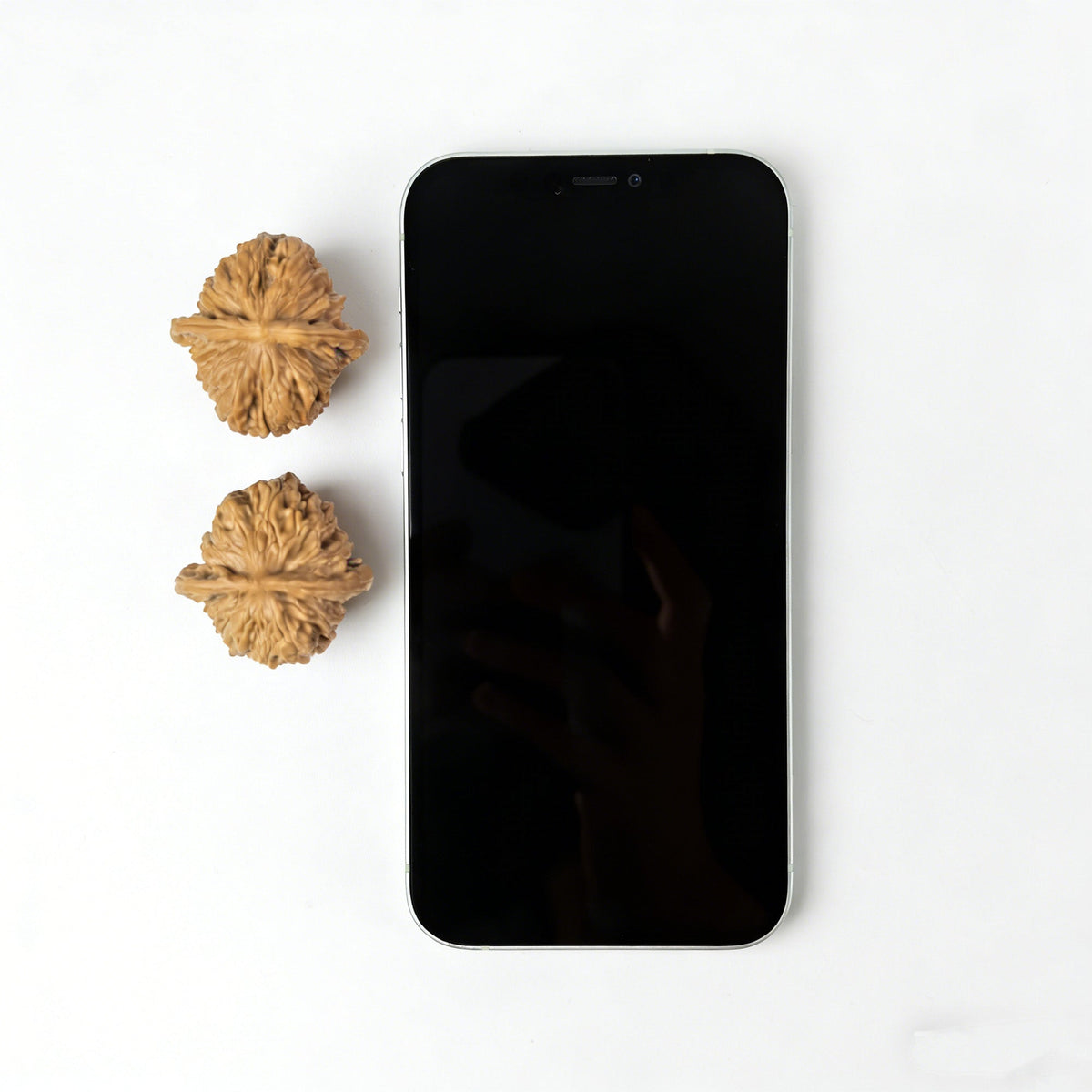 The "Si Zuo Lou" Lion Head Pair | 34.0mm x 35.0mm | SZL-1007 - ThePatinaProject