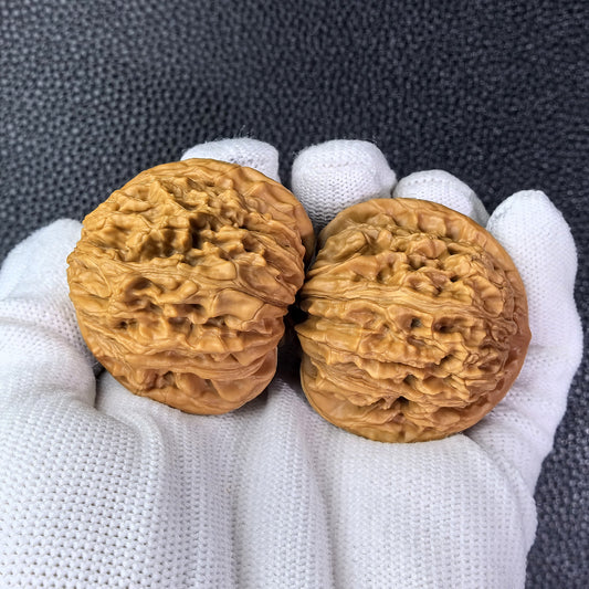The "Si Zuo Lou" Lion Head Pair | 41.0mm x 41.0mm | SZL-1008 - ThePatinaProject