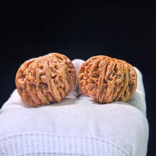 The "Si Zuo Lou" Lion's Head Pair | 40.0mm x 41.0mm | SZL-601 - ThePatinaProject
