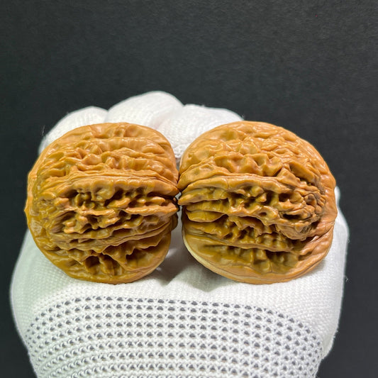 The "Si Zuo Lou" Lion's Head Pair | 41.0mm x 41.0mm | SZL-512 - ThePatinaProject