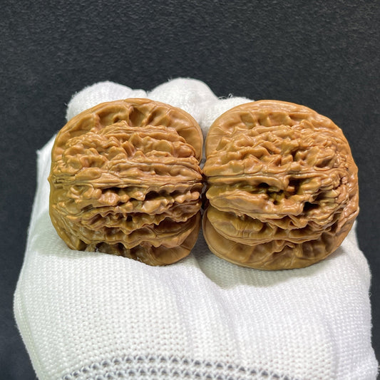 The "Si Zuo Lou" Lion's Head Pair | 43.0mm x 40.0mm | SZL-406 - ThePatinaProject