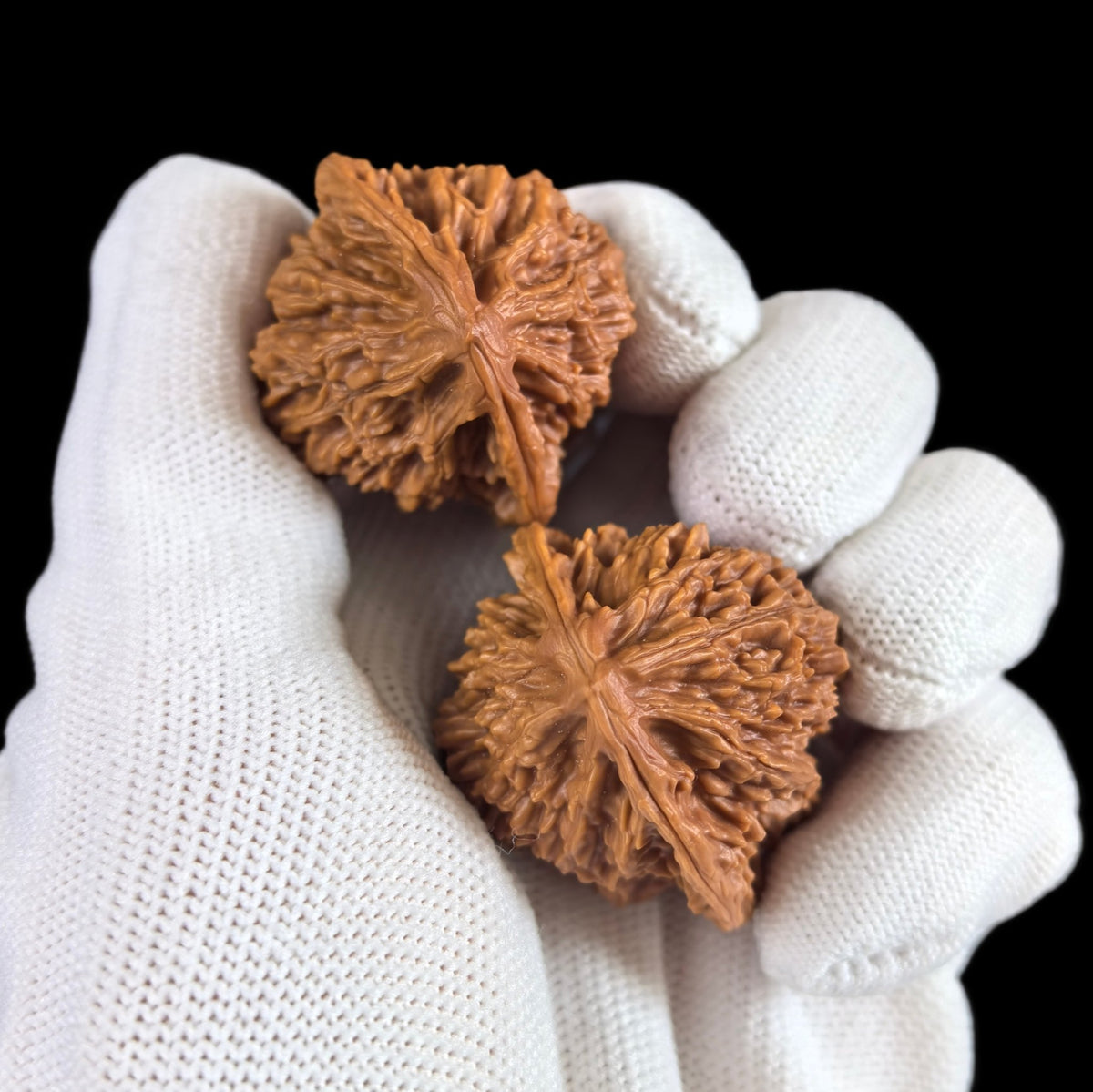 The "Small Beijing Chicken Heart" (Beijing Xiao Jixin) Pair | 35.0mm | BBJX-103 - ThePatinaProject