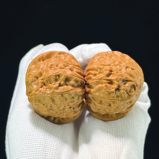 The "Squat Pumpkin" (Nan Gua Dun) Deep-Bellied Giant Pair | 44.0mm x 45.0mm | NGD-802 - ThePatinaProject