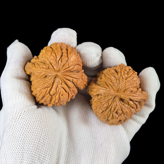 The "Stout Cushion" (Mendun) Pair | 44.0mm | MD-102 - ThePatinaProject