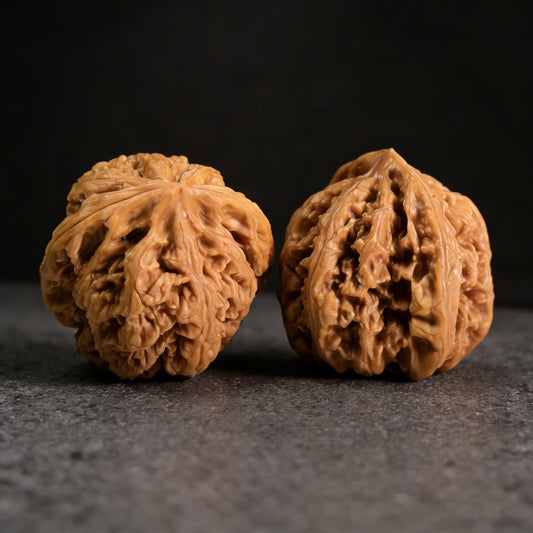 The "Tendon Vein" (Cujin) Pair | 38.0mm x 36.0mm | CJ-02 - ThePatinaProject
