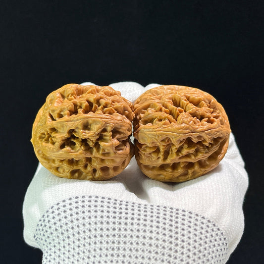 The "Thick Ridge" (Da Cu Jin) Lion's Head Pair | 41.0mm x 44.0mm | CJ-602 - ThePatinaProject