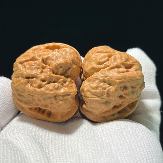 The "Toad Head" (Ha Ma Tou) Pair | 36.0mm x 38.0mm | W-811 - ThePatinaProject
