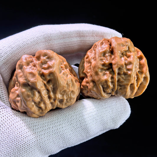 The "Toad Head" (Hamatou) Matched Pair | 41.0mm x 38.0mm | HMT-1201C - ThePatinaProject