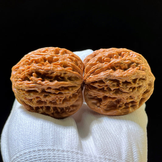 The "Wheat Ear Tiger Head" (Mai Sui Hu Tou) Ergonomic Giant | 42.0mm x 40.0mm | MSHT-1202C - ThePatinaProject
