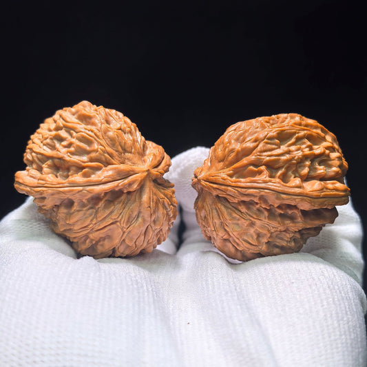 The "White Lion Half-Wall" (Bai Shizi Banbi) Pufferfish Silhouette Pair | 42.0mm x 29.0mm | BBZBB-1402E - ThePatinaProject